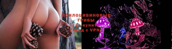 PSILOCYBIN Беломорск