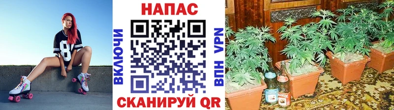 МАРИХУАНА OG Kush  где найти   Верхнеуральск 